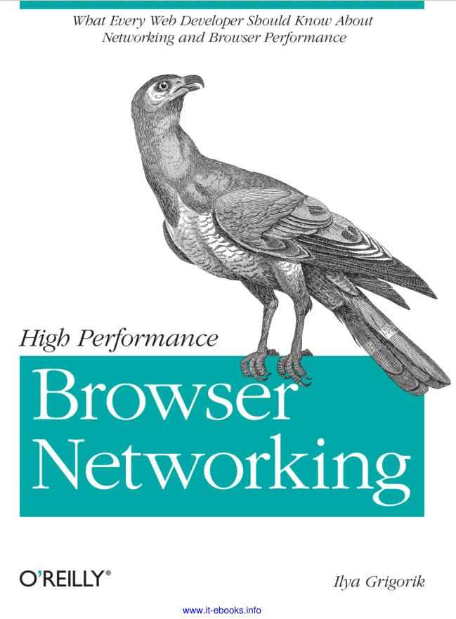 High.Performance.Browser.Networking.jpg